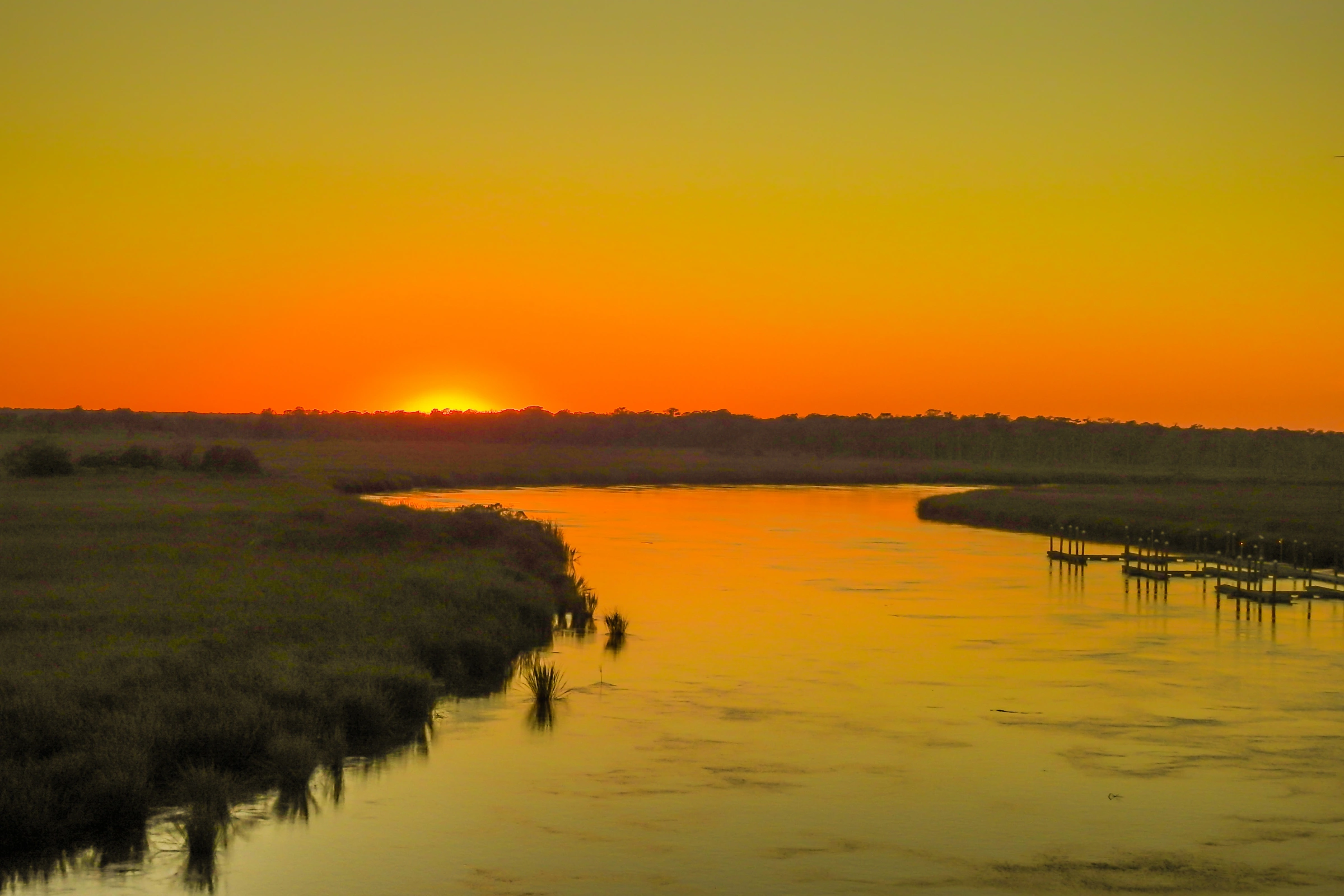 Darién_National_Park[1].webp